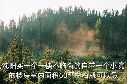 沈阳买一个一楼不临街的自带一个小院的楼房室内面积60平左右就可以最