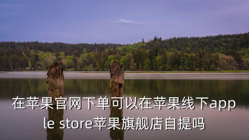 在苹果官网下单可以在苹果线下apple store苹果旗舰店自提吗