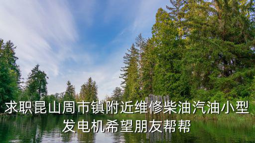 求职昆山周市镇附近维修柴油汽油小型发电机希望朋友帮帮