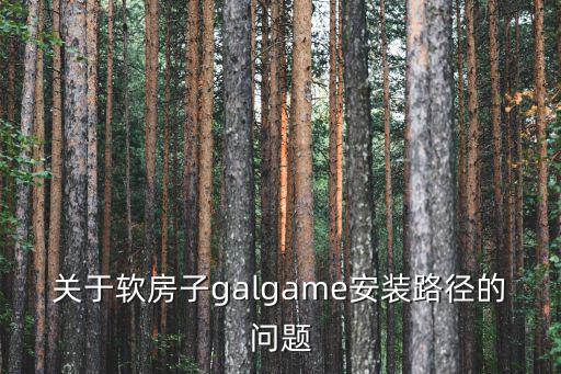 关于软房子galgame安装路径的问题