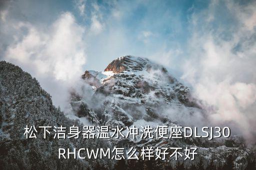 松下洁身器温水冲洗便座DLSJ30RHCWM怎么样好不好