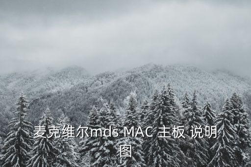 麦克维尔mds MAC 主板 说明图