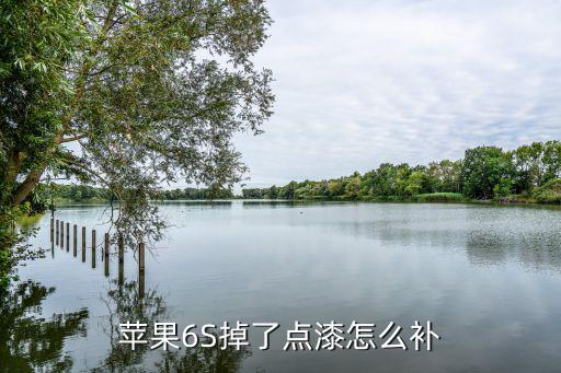 苹果6S掉了点漆怎么补