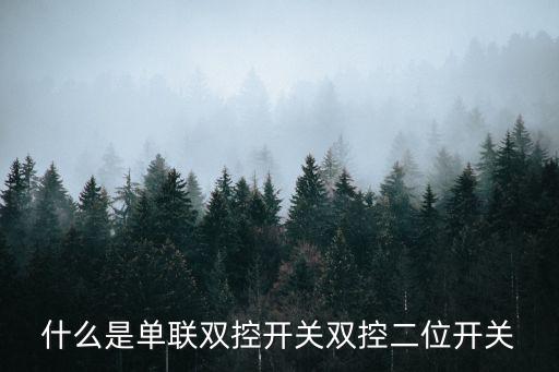 单联双控开关，什么是单联双控开关双