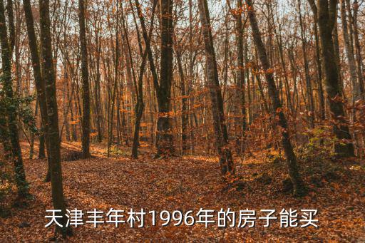 天津丰年村1996年的房子能买