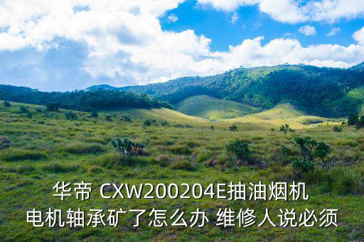 华帝 CXW200204E抽油烟机电机轴承矿了怎么办 维修人说必须