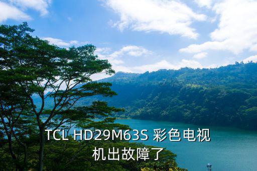 TCL HD29M63S 彩色电视机出故障了