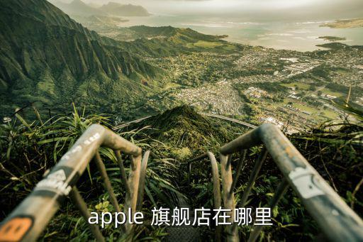 apple 旗舰店在哪里