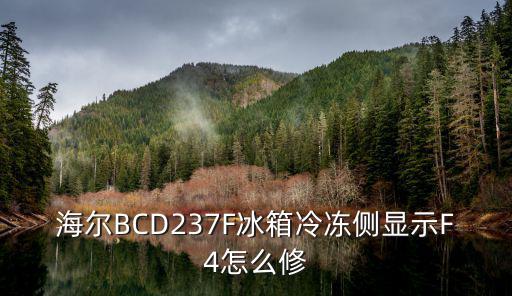 海尔BCD237F冰箱冷冻侧显示F4怎么修