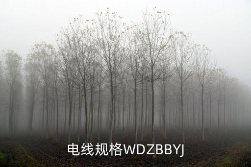 电线规格WDZBBYJ