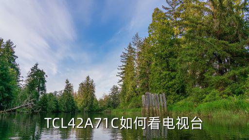 TCL42A71C如何看电视台