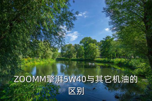 ZOOMM擎湃5W40与其它机油的区别