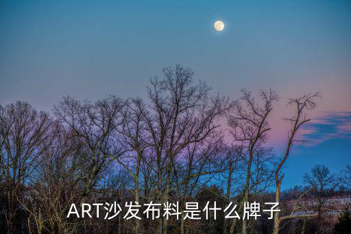 ART沙发布料是什么牌子