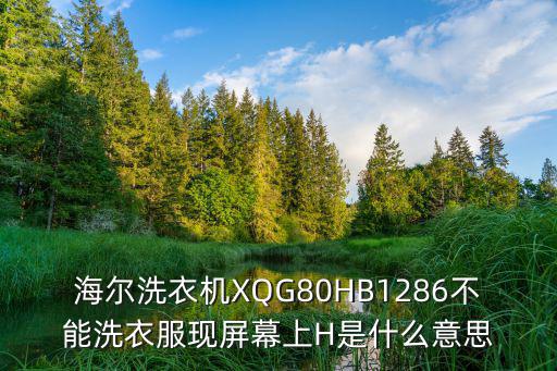 海尔洗衣机XQG80HB1286不能洗衣服现屏幕上H是什么意思