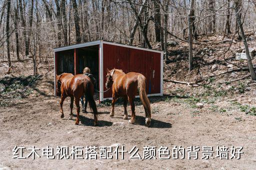 红木电视柜搭配什么颜色的背景墙好