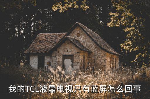 tcl智能电视蓝屏怎么办，我的TCL液晶