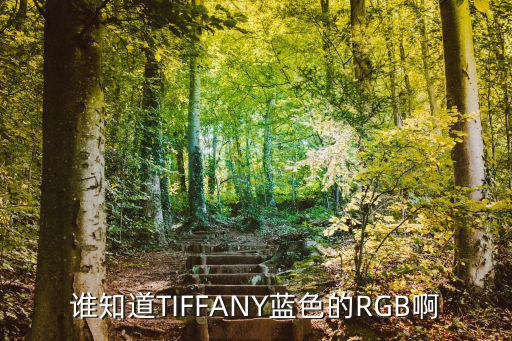 蒂凡尼蓝，谁知道TIFFANY蓝色的RGB啊