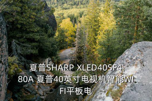 夏普SHARP XLED40SF480A 夏普40英寸电视机智能WIFI平板电