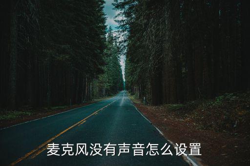 麦克风没有声音怎么设置