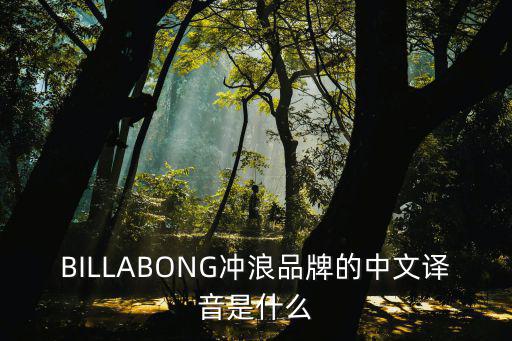 BILLABONG冲浪品牌的中文译音是什么