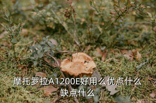 摩托罗拉A1200E好用么优点什么缺点什么