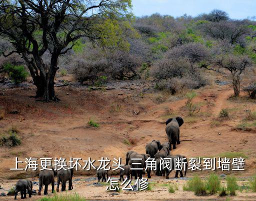 上海更换坏水龙头 三角阀断裂到墙壁怎么修