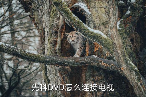 先科DVD怎么连接电视