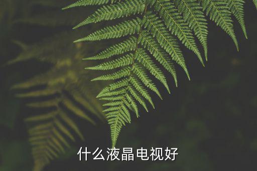 什么液晶电视好