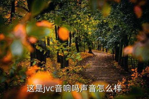 这是jvc音响吗声音怎么样