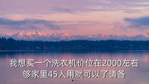 我想买一个洗衣机价位在2000左右够家里45人用就可以了请各