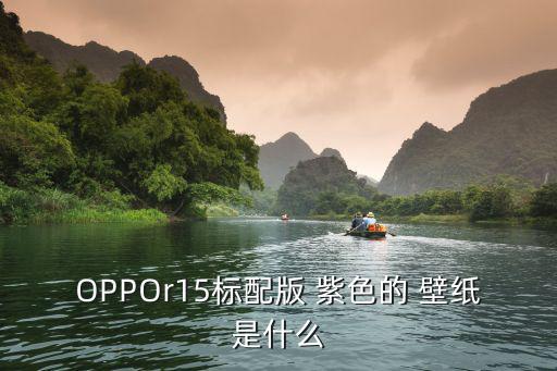 OPPOr15标配版 紫色的 壁纸是什么