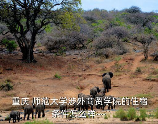  重庆 师范大学涉外商贸学院的住宿条件怎么样~~