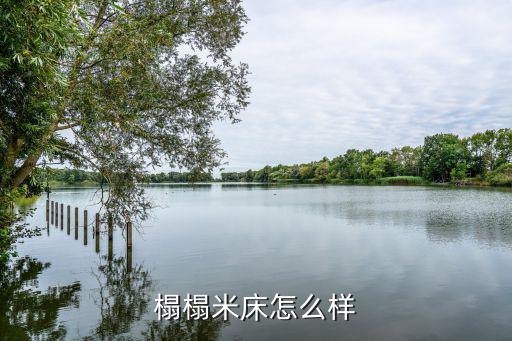 榻榻米床怎么样