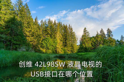 创维 42L98SW 液晶电视的 USB接口在哪个位置