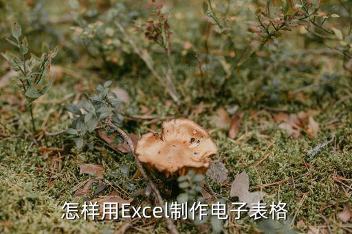 怎样用Excel制作电子表格