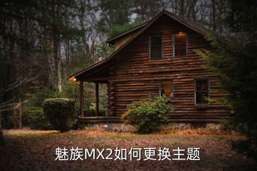 魅族MX2如何更换主题