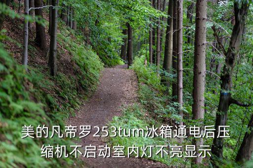 美的凡帝罗253tum冰箱通电后压缩机不启动室内灯不亮显示