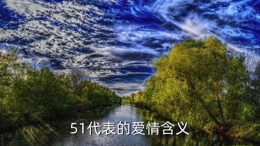 51代表的爱情含义