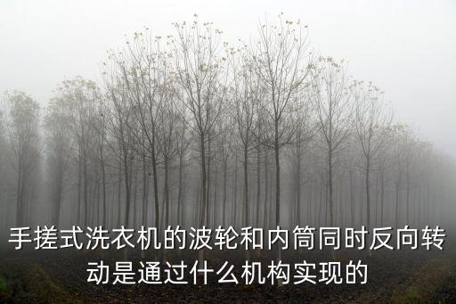 手搓式洗衣机的波轮和内筒同时反向转动是通过什么机构实现的