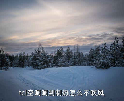 tcl空调调到制热怎么不吹风