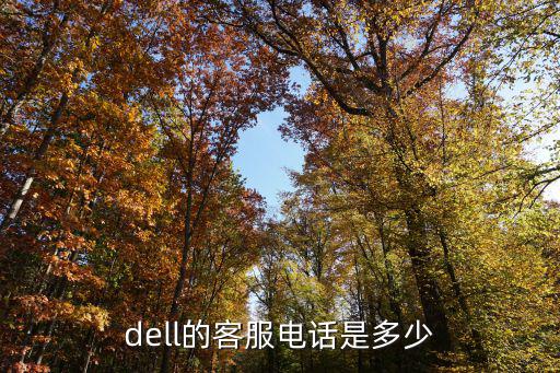 dell的客服电话是多少