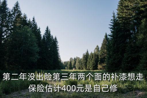 第二年没出险第三年两个面的补漆想走保险估计400元是自己修