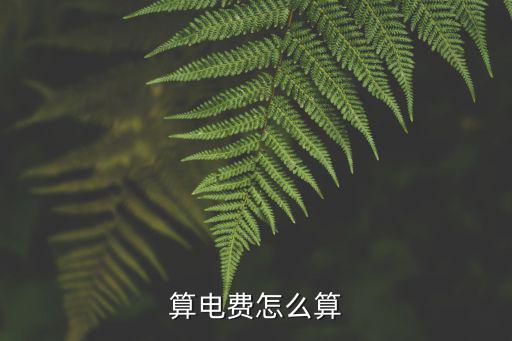 算电费怎么算