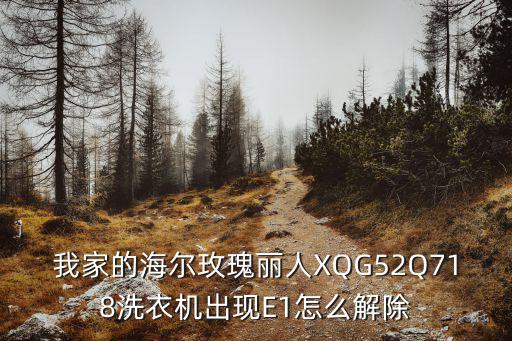 我家的海尔玫瑰丽人XQG52Q718洗衣机出现E1怎么解除