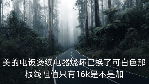 美的电饭煲续电器烧坏已换了可白色那根线阻值只有16k是不是加