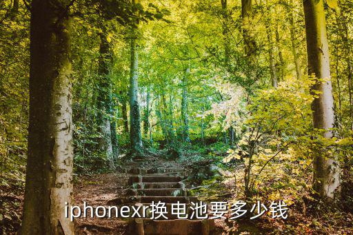 苹果xr电池更换需要多少钱，iphonexr