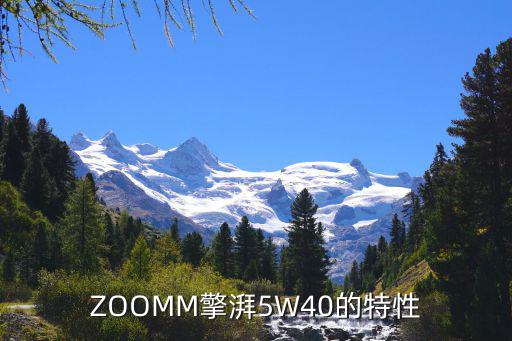 ZOOMM擎湃5W40的特性