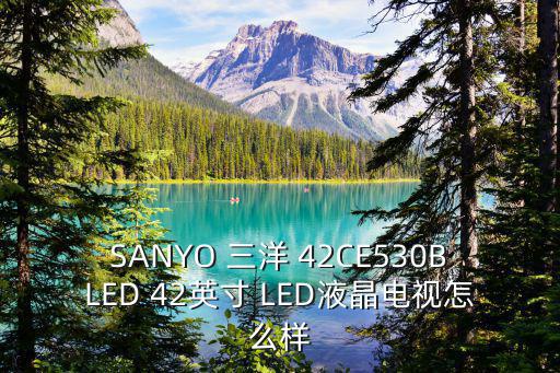 SANYO 三洋 42CE530BLED 42英寸 LED液晶电视怎么样