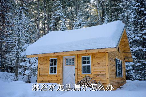 淋浴器漏水怎么办，淋浴水龙头漏水怎