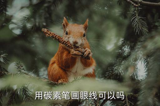 用碳素笔画眼线可以吗